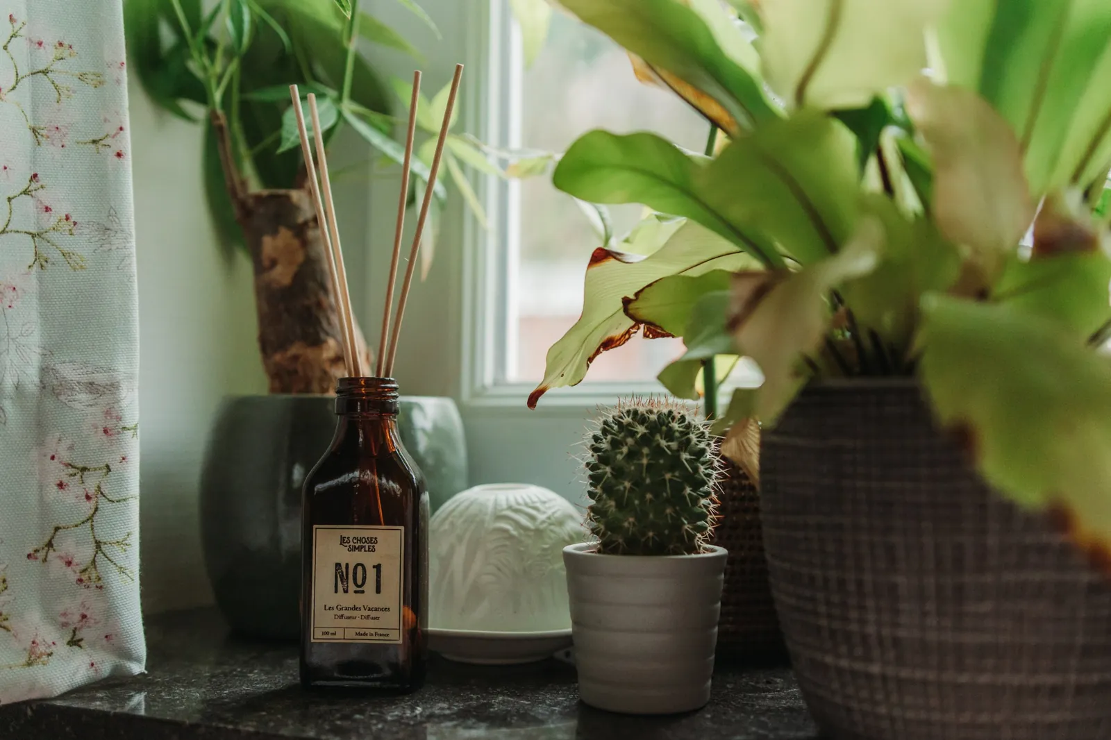 Diffuseur de parfum parmi les plantes / Reed diffuser among plants