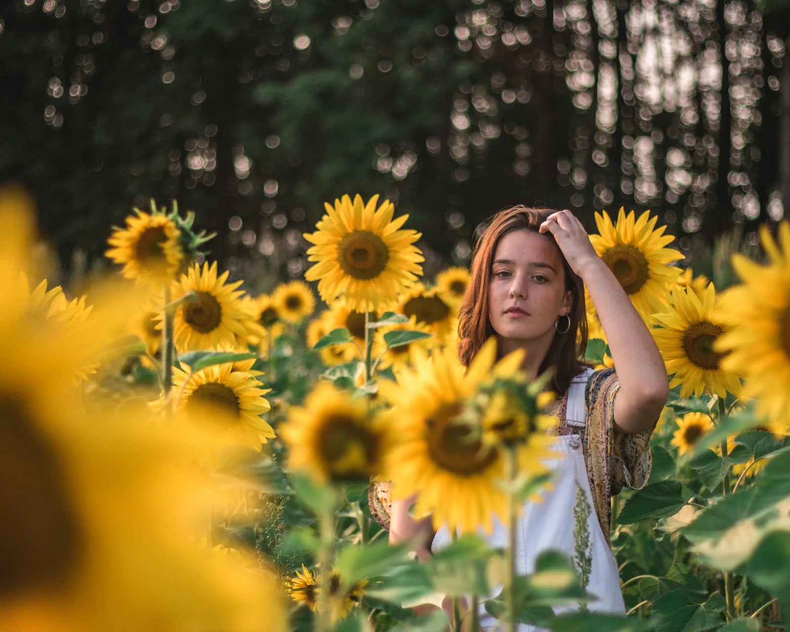 Portrait dans un champ de tournesols / Portrait in a sunflower field
