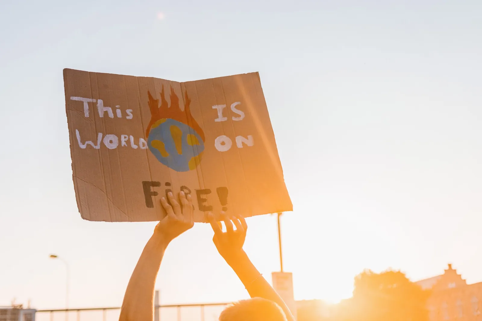 « This world is on fire » / “This world is on fire”